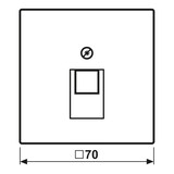 thumbnail of Jung Abdeckung für IAE/UAE LC 969-1 UA 254 LC969-1UA254
