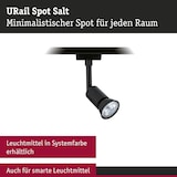 thumbnail of Paulmann URail Schienenspot Salt Einzelspot  GU10  max. 10W  dimmbar 230V Schwarz matt 95636
