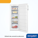thumbnail of Exquisit Gefrierschrank GS231-NF-H-040C weiss | Gefrierschrank NoFrost 161 L Volumen | 4* Schnellgefrieren | Alarm | Gefrierschrank Gross