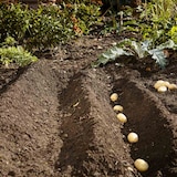 thumbnail of GARDENA Grondschoffelploeg Combisystem Grondschoffelploeg 16 cm