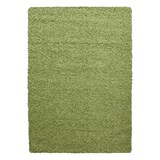 thumbnail of Teppich Wohnzimmer Hochflor Einfarbig Weich Flauschig Waschbar Strapazierfähig Schlafzimmer Grün 300x400 cm – RHEIN von Kadima Design