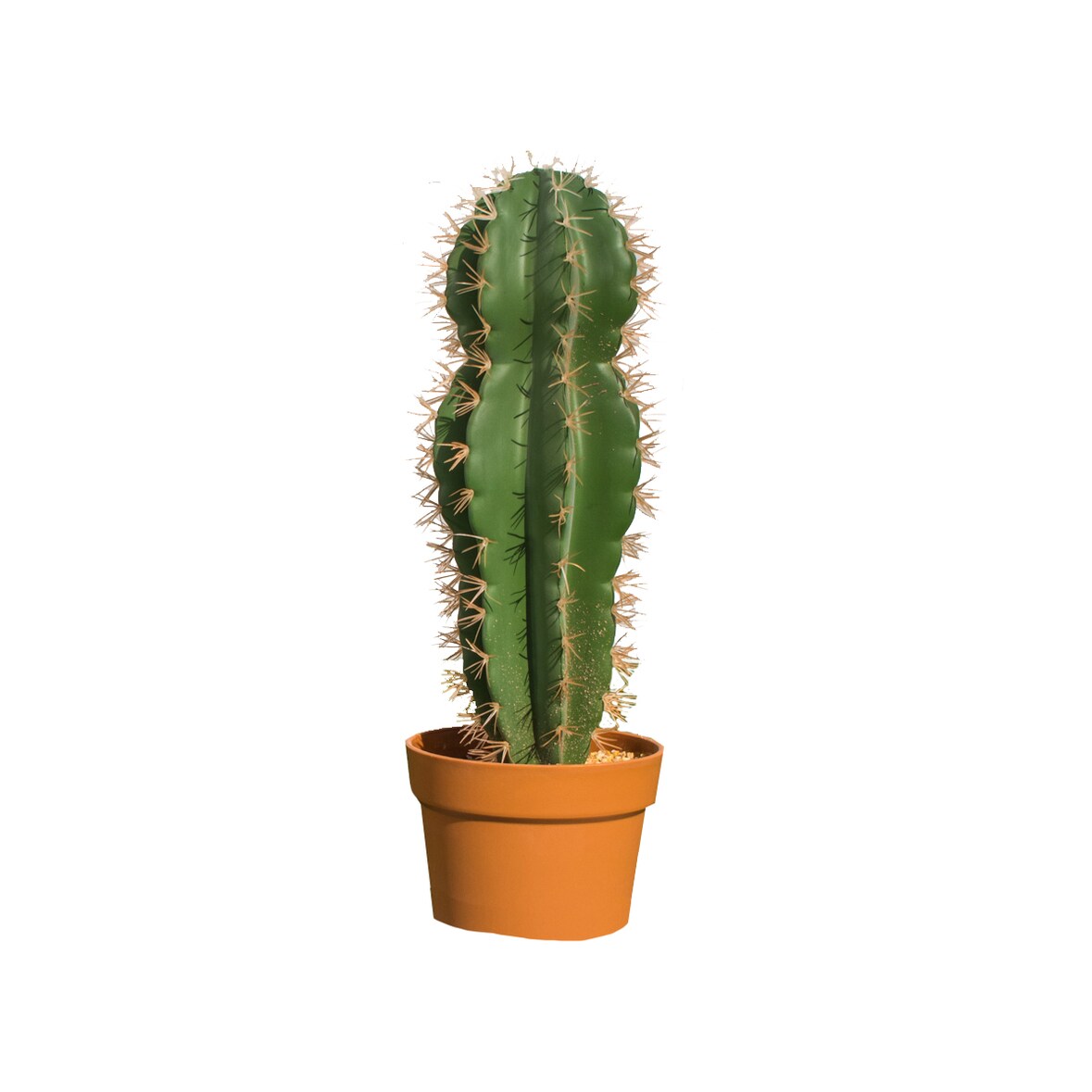 Cactus Stetsonia Coryne 64 Cm