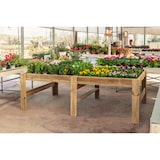 thumbnail of HORTALIA Mesa expositora de madeira Blossom