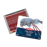 thumbnail of Caja metálica de 24 lápices Derwent Pastel .