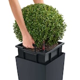 thumbnail of LECHUZA Blumentopf Cubico Color 30 Komplett-Set Schiefergrau 13138