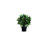 thumbnail of Paperflow pianta artificiale, Lauro, 50 cm