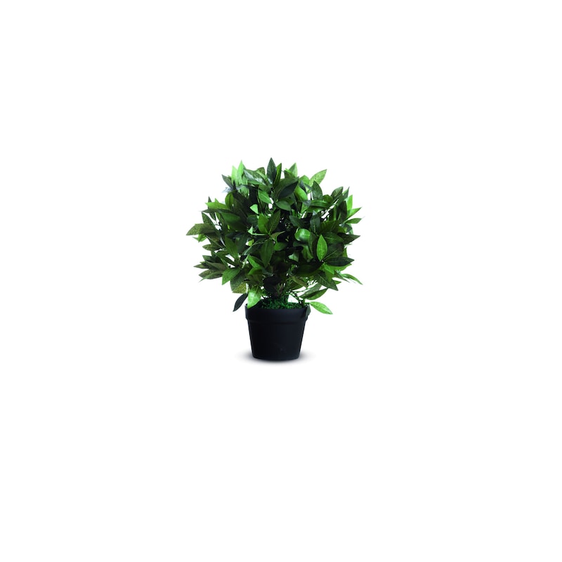 mobile_image