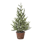 thumbnail of CREATIV green künstliche Pflanze Fichte mit Schnee im Topf, 55 cm, schnee