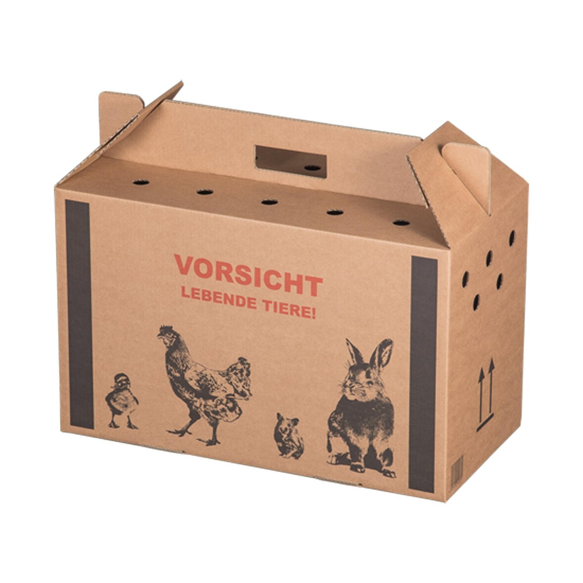 10x Transportkarton für Kleintiere 480x230x300mm mit Tragegriff Luftlöchern und Automatikboden - Größe M