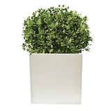 thumbnail of WellHome - Topf 40x40 cm DANI in Weiß