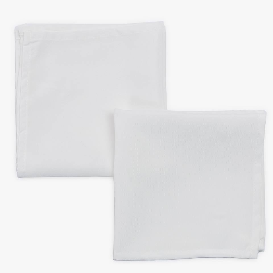 Set van 2 WITTE servetten 40x40cm