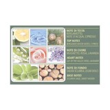 thumbnail of Acqua Di Bolgheri Cipresso Nobile Sanfte Bio-Seife für Hände & Gesicht  500ml