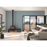 thumbnail of Poêle à bois vintage P648124