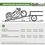 thumbnail of TRUTZHOLM Auffahrschiene klappbar 240 cm Tragkraft 50 kg Alu grau gelocht Fahrradrampe Rampe