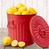 thumbnail of Jinfa 1 Retrodesign Metalleimer mit Griffen und Deckel + 30 Müllbeutel | Rot | 62L