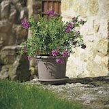 thumbnail of Pflanzkübel GEO 55 cm taupe