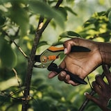 thumbnail of Fiskars Solid Bypass-Gartenschere Metall P331