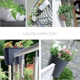 thumbnail of Prosperplast - RATOLLA SQUARE 2,5-l-Blumentopf – 16,5 x 16,5 x 14,2 cm in der Farbe Mokka