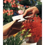 thumbnail of Rapid, Pince-agrafeuse Classic K1, jusqu'à 50 feuilles, Blister, Argent, 10510629