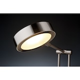 thumbnail of Paulmann Lampe de bureau LED Zed  3000K 359lm 5W Acier brossé 70245