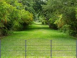 thumbnail of Gartenzaun Mattenzaun Doppelstabmattenzaun Anthrazit Grau Rund 0,8 m x 40 m