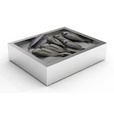 thumbnail of Professionele GN 2/1 container voor gemalen ijs – buffetpresentatie, roestvrij staal