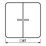 thumbnail of Jung Wippe Lichtleiter lgr CD 595 KO5BF LG CD595KO5BFLG