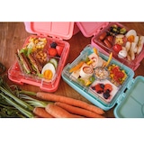 thumbnail of Klarstein schmatzfatz easy Snackbox 4 Fächer 18 x 15 x 5 cm Bonbonrosa