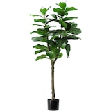 thumbnail of King Home Pianta Ficus Lyrata in polietilene 60 foglie verde