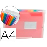 thumbnail of Carpeta Liderpapel Clasificador Fuelle 42159 Polipropileno A4 Tte 2 Huecos Tarjetas Spectrafile 13 Dpto