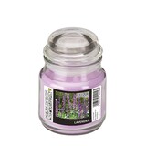 thumbnail of PAPSTAR, Snoeppot met waxvulling "Flavour by GALA" Ø 63 mm · 85 mm violet - Lavendel