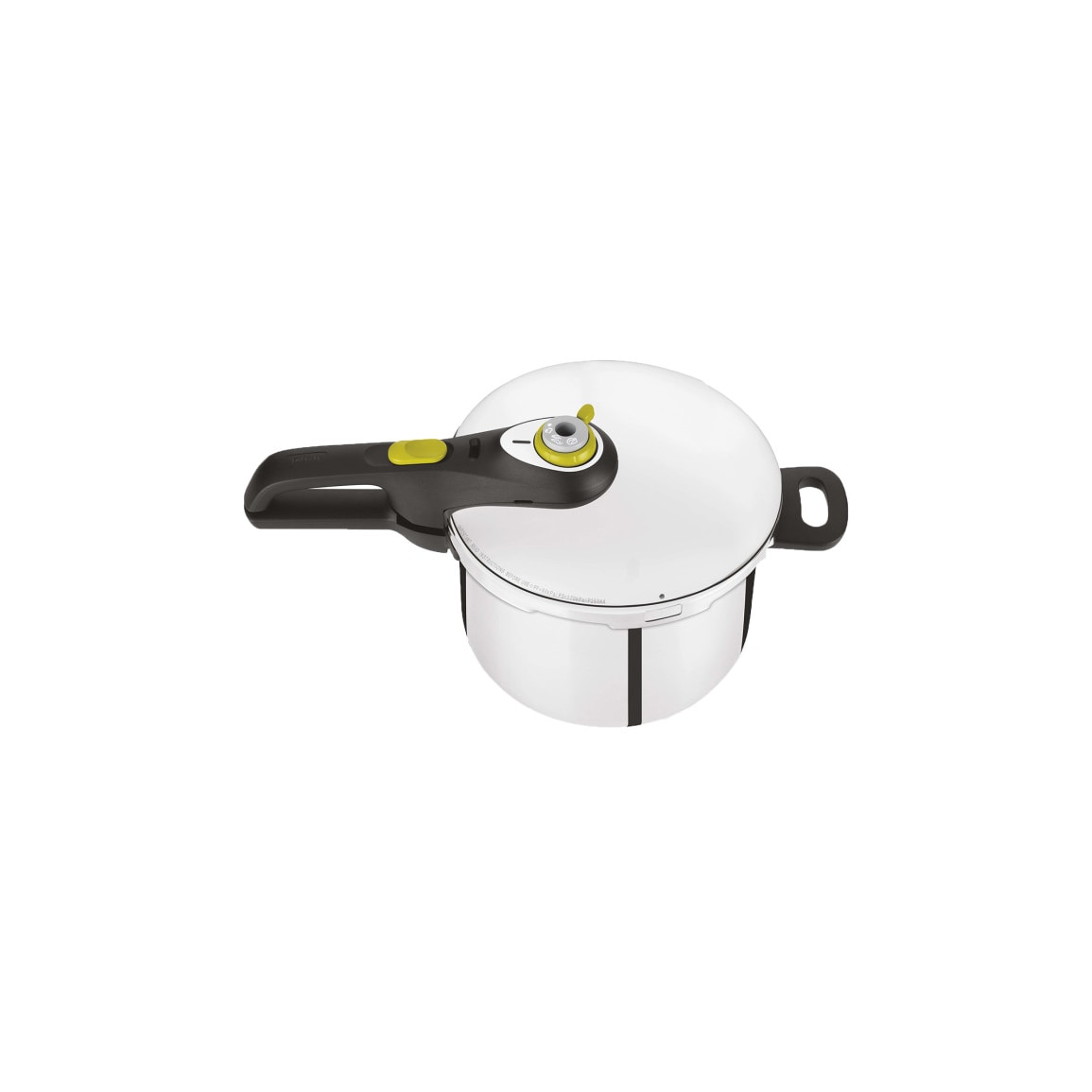 Tefal P2530738 Schnellkochtopf, Edelstahl, 6L, Höhe 23cm,  mit Decekl, induktionsfähig