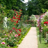 thumbnail of Relaxdays Rosenbogen Metall, Torbogen Garten, HxBxT: 216 x 125 x 36 cm, Vintage, Rankbogen für Kletterpflanzen, schwarz