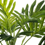 thumbnail of Atmosphera Etnik - Palme mit weißem Zementpflanzgefäß 30x30x29cm