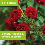 thumbnail of Protect Garden Universal-Pilzfrei Curamat Plus AF 500 ml