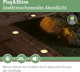 thumbnail of Paulmann Plug & Shine LED Bodeneinbauleuchte Floor Basisset Insektenfreundlich IP67 2200K 3x2W  21VA Silber 94722