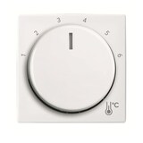 thumbnail of Busch-Jaeger Zentralscheibe 1794 R-914 2CKA001710A4193