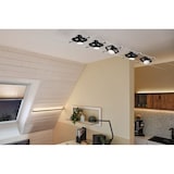 thumbnail of Paulmann LED Reflektor   GU5,3 12V 445lm 6,5W 2700K dimmbar Schwarz matt 28757