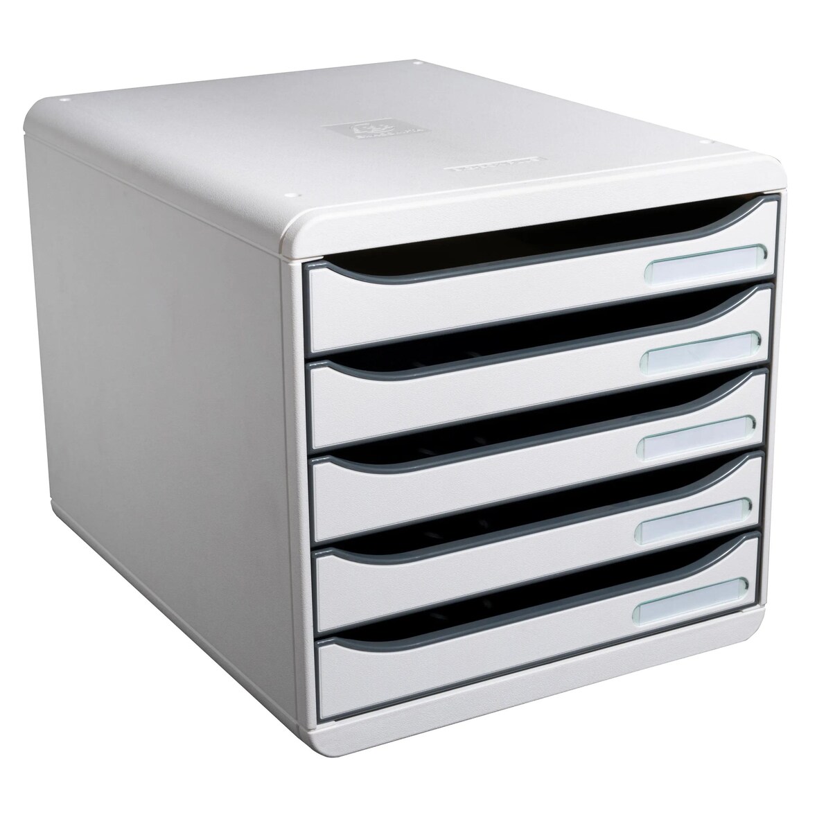 Exacompta 309740D 1x Ablagebox mit 5 Schubladen für DIN A4+ Dokumente Big Box Plus Office Lichtgrau