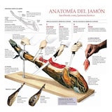 thumbnail of 3 Claveles POM - Cuchillo Jamonero Alveolado Profesional 29 cm Acero Inoxidable Blister