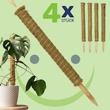 thumbnail of Erweiterbare Pflanzenstütze mit Kokosfilz – Rankhilfe 60 cm