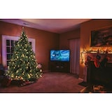 thumbnail of Tarrington House Albero di Natale illuminato, metallo/pvc, Ø 150 x 210 cm, con 300 luci LED, verde