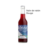 thumbnail of 12x33cl KOMBUCHA Sobaie de raisin rouge 396cl 0%