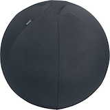 thumbnail of Bola de Assento Antiderrapante Leitz Active 55cm (65410089)