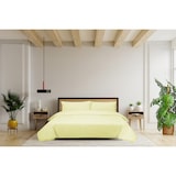 thumbnail of DoubleDry Dekbedovertrek Tweepersoons 200x200/220 cm + 2 kussenslopen 60x70 cm - 100% natuurlijk katoen - licht geel