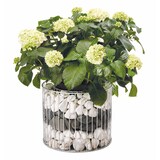 thumbnail of Wilk Gabione Amber L