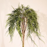 thumbnail of Planta artificial Sauce llorón 180cm - Naturing Monde - Interior