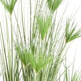 thumbnail of CREATIV green künstliche Pflanze Cyperus longus Gras, 210cm