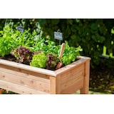thumbnail of Westmann Verhoogde Plantenbak Emily 120x65x75 cm - Moestuinbak WM102420