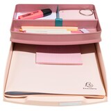 thumbnail of Exacompta - Réf. 11131D - Carton de 6 Corbeilles à courrier COMBO STYLI Skandi - pour A4+ - 34 x 25 x 6,5 cm - pour 500 feuilles - couleur nude